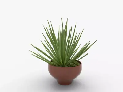 Aloe vera plant in Terra Cotta Planter 3D model