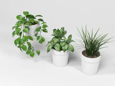Plants pack 2 Low-poly 3D model