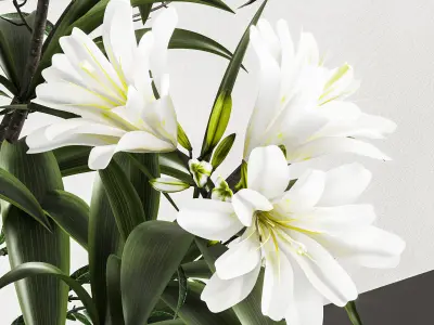 plants bouquet vase 12 3D model