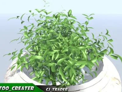 Decorative Hall Plant 3D Model   3D model