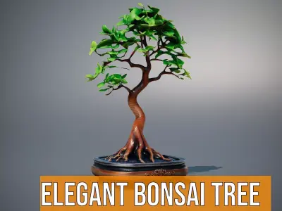 Elegant Bonsai Tree model pack Low-poly 3D model