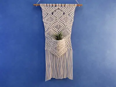 Macrame with Succulent Plant 3D model