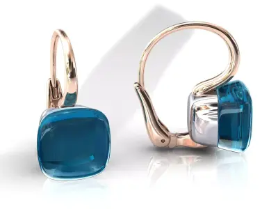 Nudo Classic Earrings 3D print model