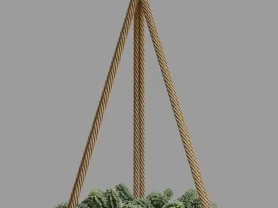Burros tail succulent and Hanging ceramic planter 3D model