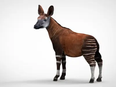 OKAPI antelope Low-poly 3D model