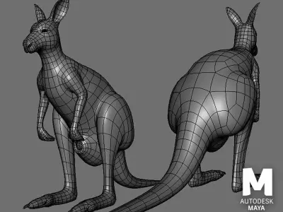 Kangaroo Female BaseMesh Low-poly 3D model