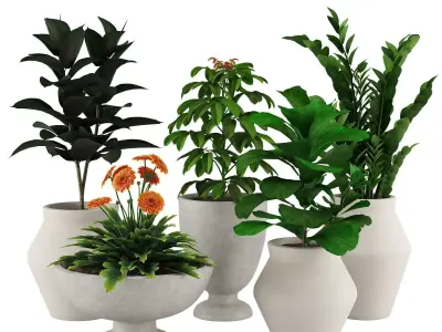 Indoor Plant Set 001 3D model