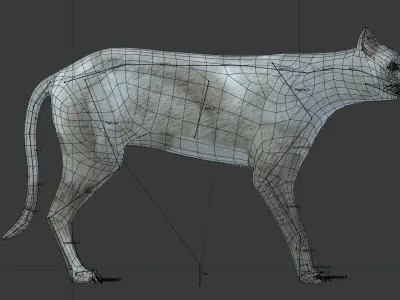 Gray cat Low-poly 3D model