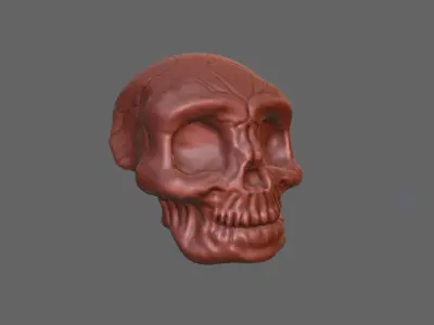 Skull Head for 3d Print - Caveira 3D model