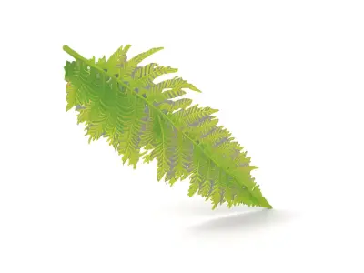 Vibrant Fern Leaf model pack Low-poly 3D model