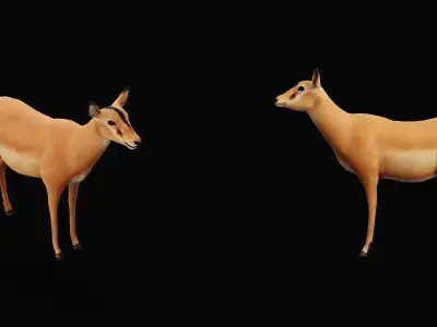 Black Faced Female Impala Low-poly 3D model