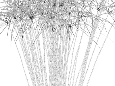 Cyperus papyrus in modern flower pot 3D model