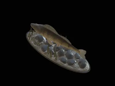 BIG ZANDER UNDERWATER STATUE DETAILED TEXTURE FOR 3D PRINTING 3D print model