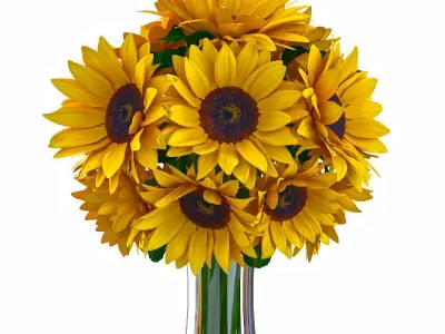 Sunflower bouquet 3D model