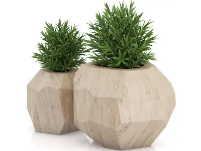 Two Plants in Modern Wooden Pots 3D model