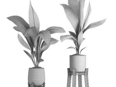indoor plant 044 3D model