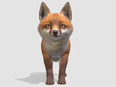 Fox - Cub Low-poly 3D model