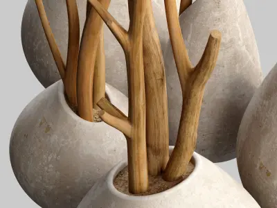 Branch slice vase n3 3D model