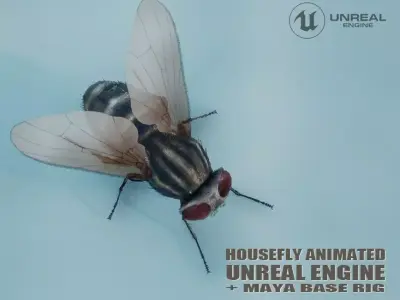 HouseFly ANIMATED UNREAL project  Maya base rig 3D model