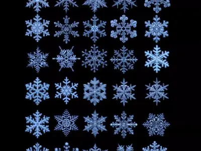 Snowflake 30 Realistic  3D print model