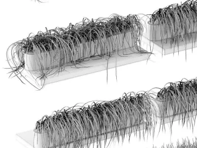 Grass on the shelves of 13 models 3D model