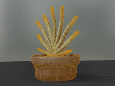 Indoor pot plant 3D model