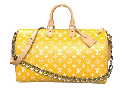 Louis Vuitton Pharrell Williams Millionaire Speedy Bag Low-poly 3D model