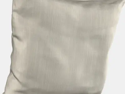 AINA Cushion cover 2 3D model