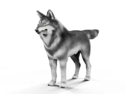 Wolf Rigged 3D Model Low-poly 3D model