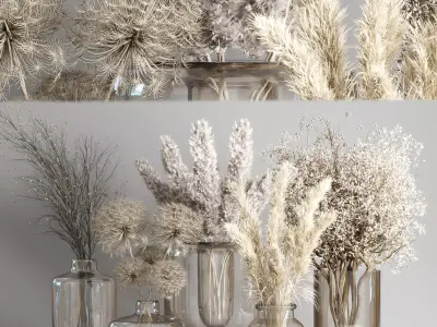 Dry Bouquet Collection 05 Dried autumn plants and flowers 3D model
