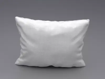 Piped Pillow 3 3D model