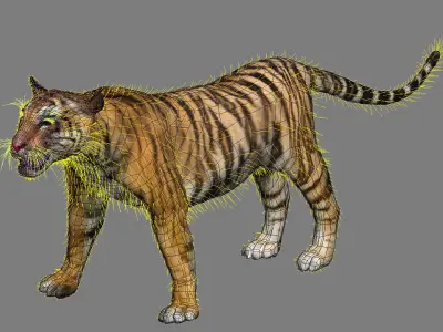 Tiger rigging For 3Dmax 3D model