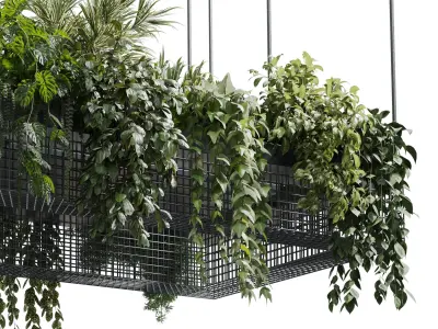 hanging plants - indoor plant set 447 Rectangle pendant pot  3D model