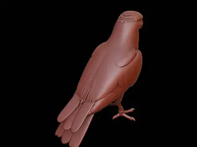 Falcon Animal Sculpture 3D print model get