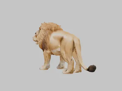 Majestic African Lion Low-poly 3D model