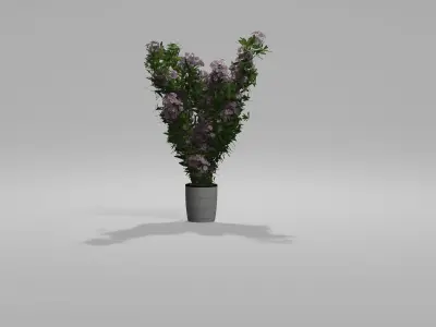 Bushes Pack 2 Blender 3D model