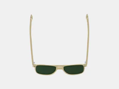 Brimmer Sunglasses in Honeydew 3D model