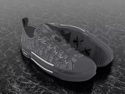 CHRISTIAN DIOR B23 LEAGUE OBLIQUE 3D SHOES Low-poly 3D model