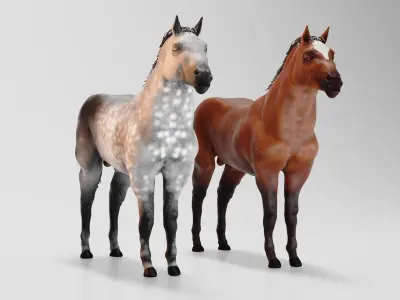 Male stallion horses 3D model