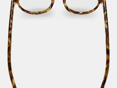 Whalen Eyeglasses in Acorn Tortoise 3D model