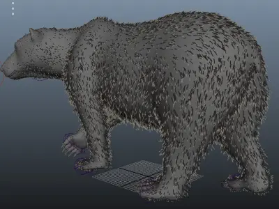 Bear-polar-maya polar bear 3D model