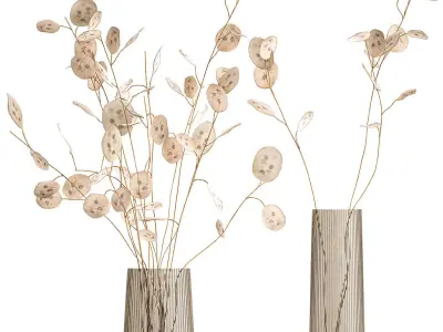 Bouquet of dried flowers  Lunaria in a glass vase 129 3D model