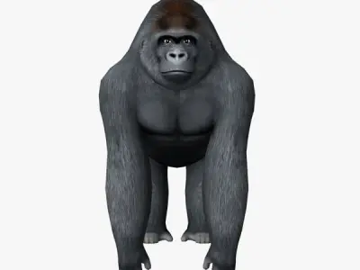 Gorilla Low-poly 3D model shop