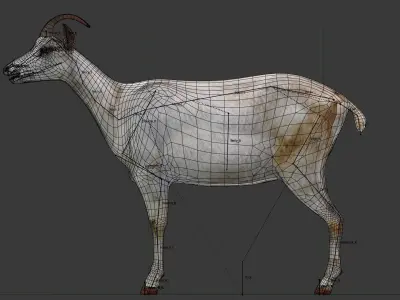 Saanen goat Low-poly 3D model