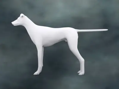 MDGH-003 Rigged Dog 3D model