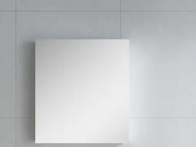 Jorrie Surface Mount Frameless Medicine Cabinet Mirror Free 3D model