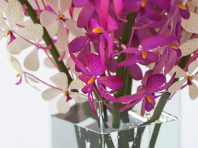 Pink and white flower in a vase 3D model
