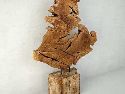 Teak Decoration 3D model