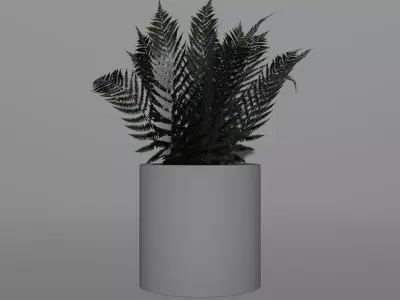 Plastic Vase Potted Fern 3D model