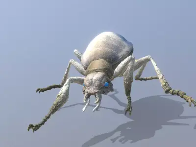 Gray Beetle Bug Walk Fbx Png 3D model